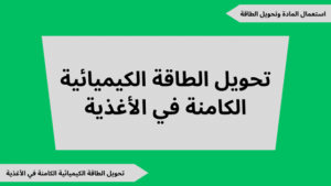  شرح درس تحويل الطاقة الكيميائية الكامنة في الأغذية للسنة أولى ثانوي مع ملفات للتحميل