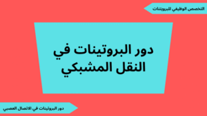 تحضير درس دور البروتينات في النقل المشبكي مع ملفات للتحميل