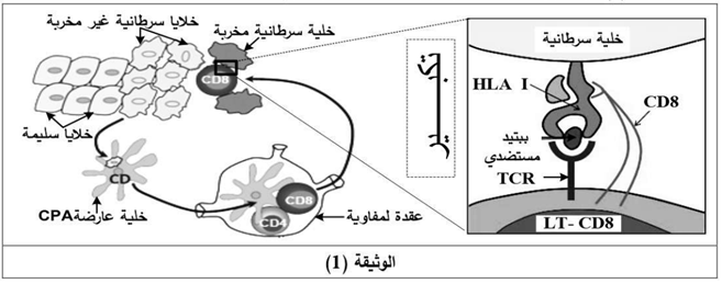 وثيقة1
