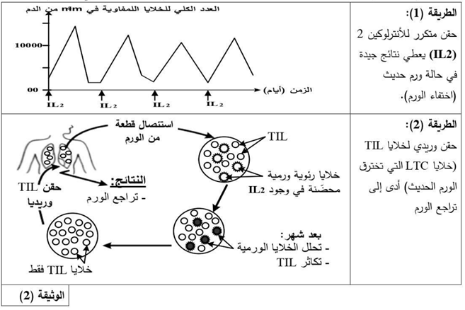 وثيقة2