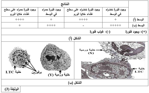 وثيقة3