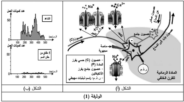 الوثيقة 1 التمرين الثالث من الموضوع الثاني باك 2021