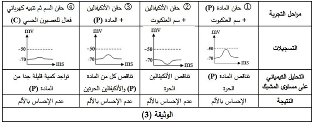 الوثيقة 3 التمرين الثالث من الموضوع الثاني باك 2021